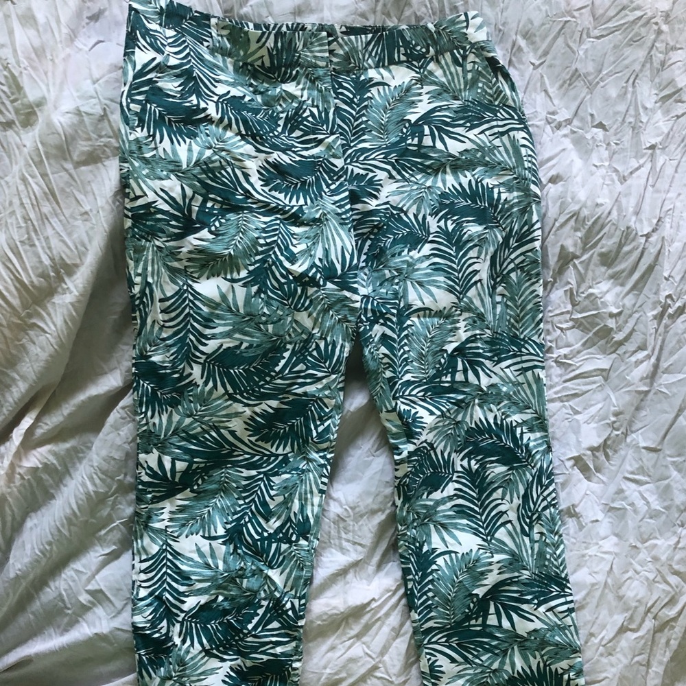 Wild fang Ahmed pants XL